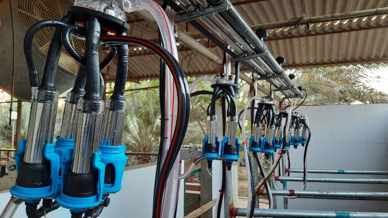Milking Parlour - Innovative Dairy Processing Solutions